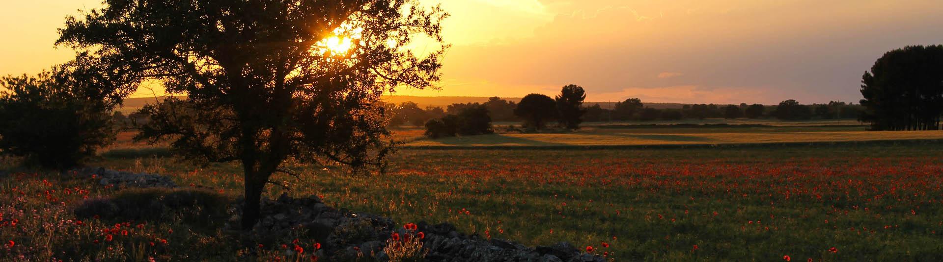 Feriendialyse Copertino