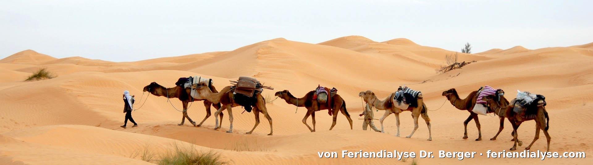 Djerba Bild 7